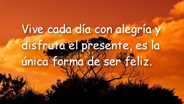 Frases de felicidad